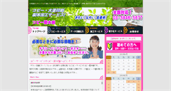 Desktop Screenshot of copy-serviceshop.net